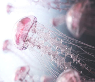 低空無人機測繪:高效、精確、廣泛應用的新興技術